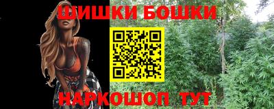 МДПВ Ливны