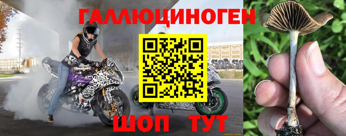 Псилоцибиновые грибы ЛСД Губкинский