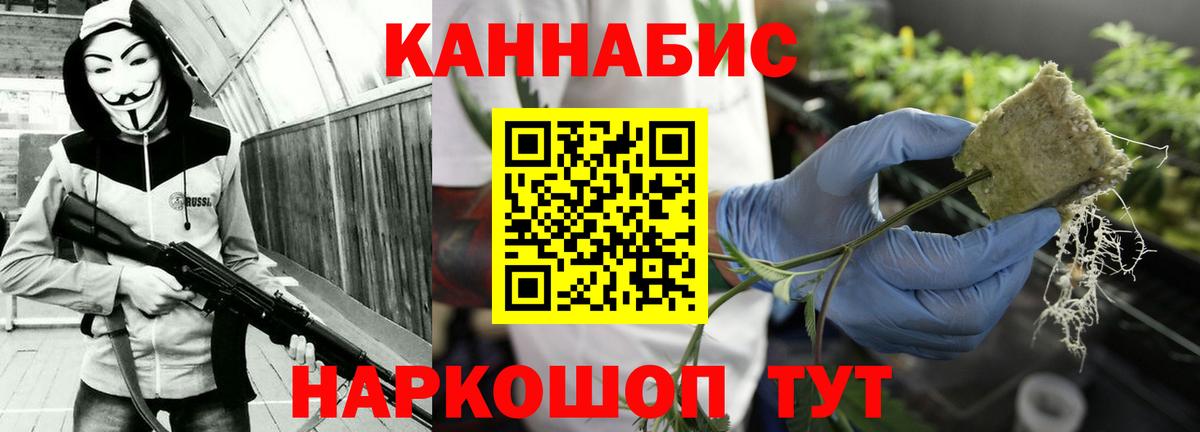 Каннабис сатива Губкинский
